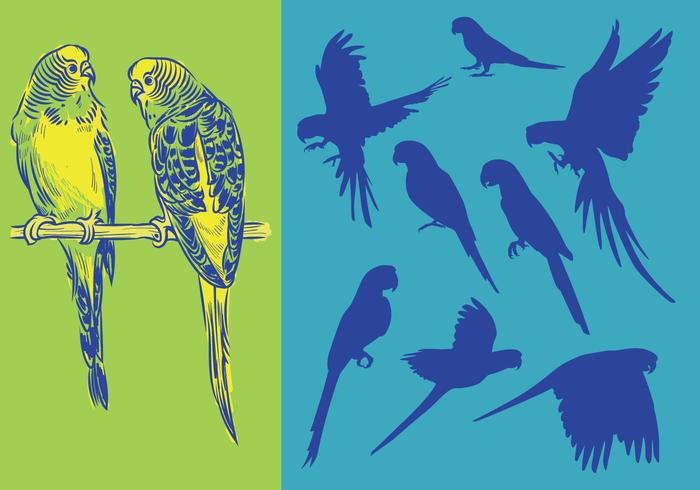 Silhouettes Parrots vector