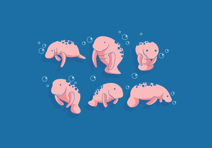 Manatee Vector Manatee Vector