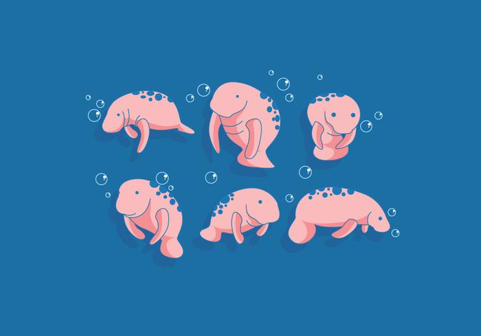 Manatee Vector