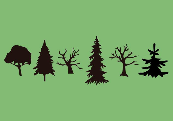 Araucaria Vector Pack 1 Araucaria Vector Pack 1