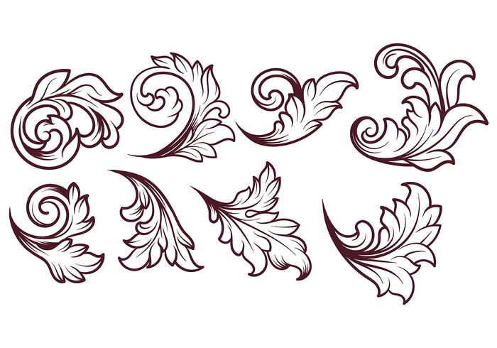 Acanthus Vector