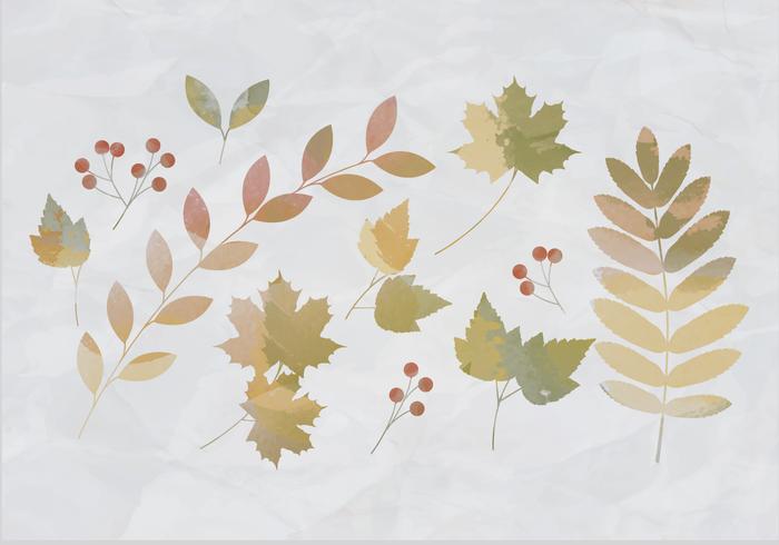 Vector Watercolor Leaves