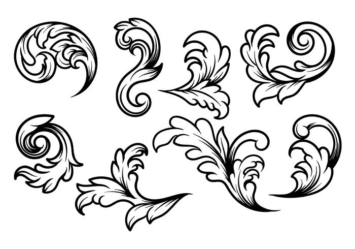 Acanthus Vector