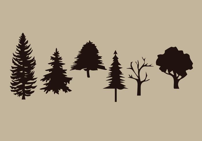Araucaria Vector Pack 3 Araucaria Vector Pack 3
