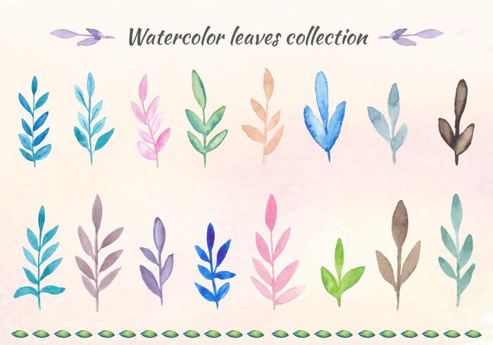 Free Vector Watercolor Leaves Collection