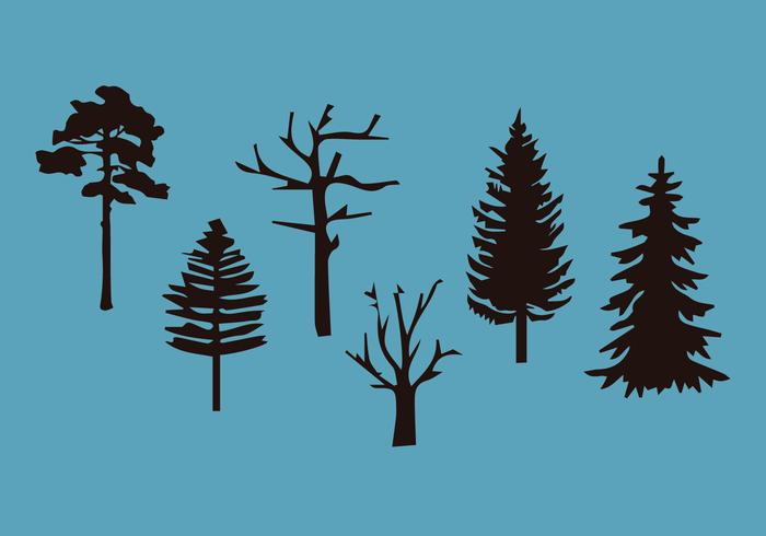 Araucaria Vector Pack 2 Araucaria Vector Pack 2