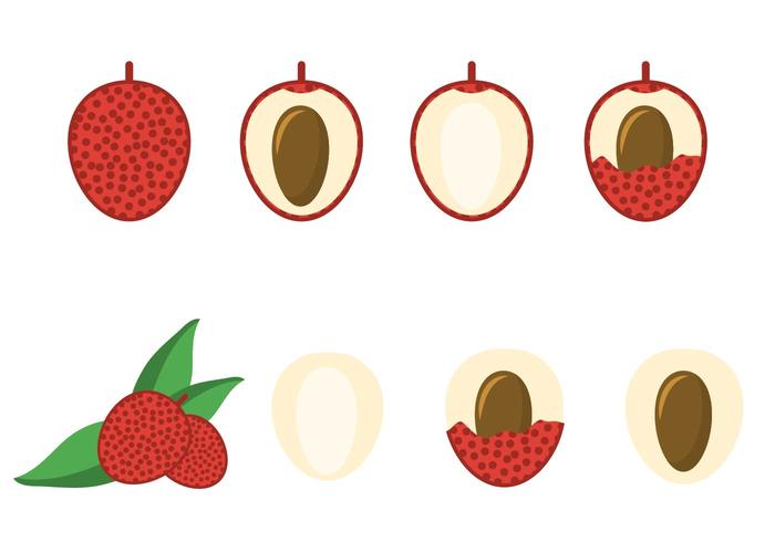 Free Lychee Vector