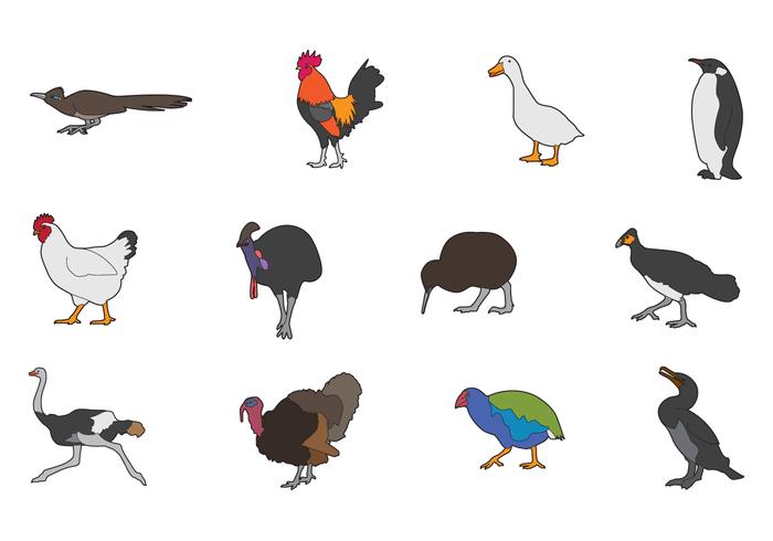 Flightless Birds Vectors