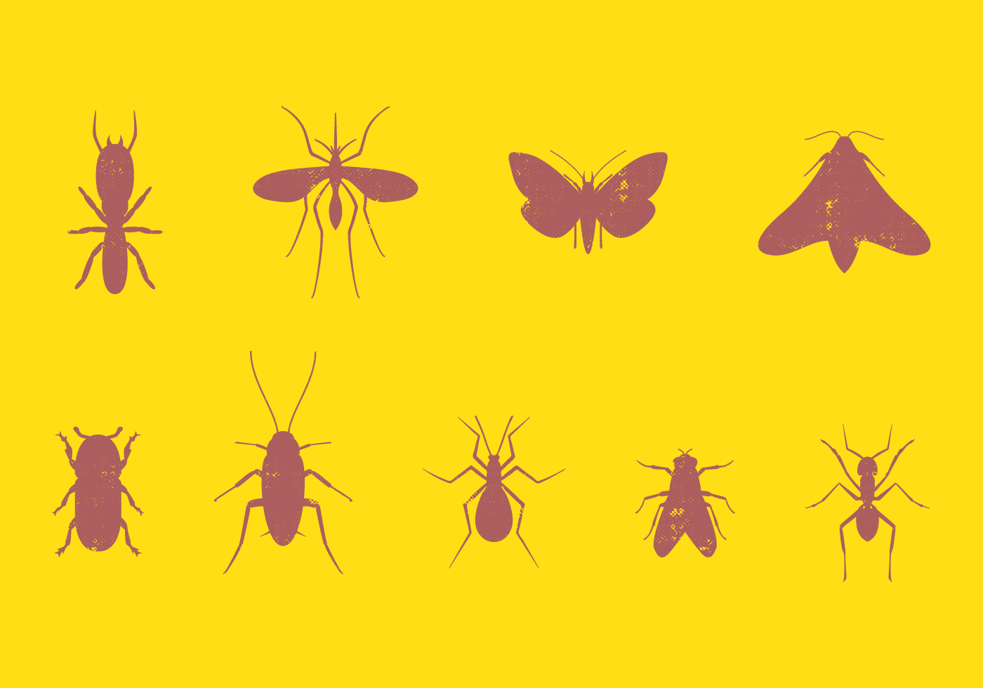 Pest Insect Set 124549 Vector Art at Vecteezy