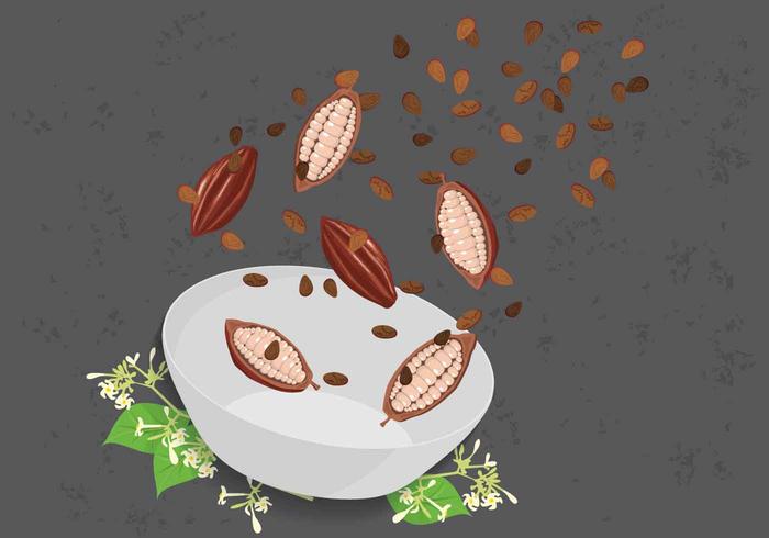 Ilustración libre de los granos de cacao vector