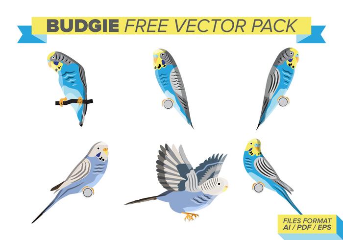 Budgie Free Vector Pack Budgie Free Vector Pack
