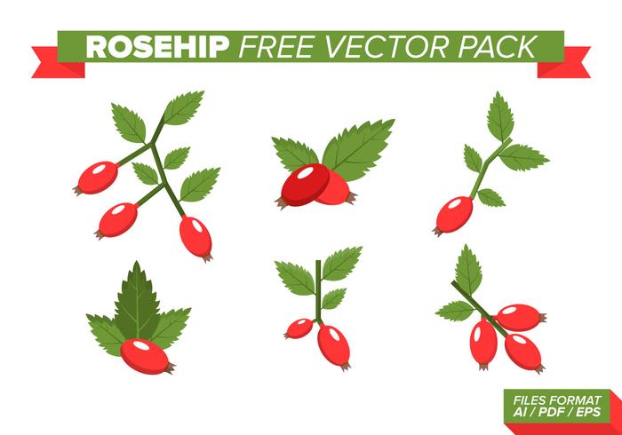 Rosehip Free Vector Pack Rosehip Free Vector Pack
