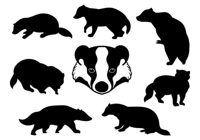 Free Honey Badger Icons Vector