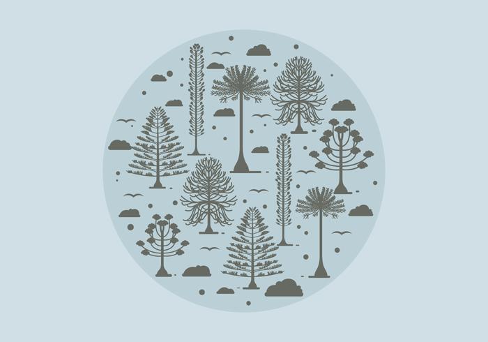 Araucaria Circle Vector