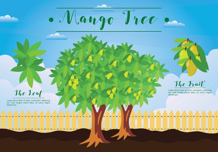 Ilustración libre del árbol del mango vector