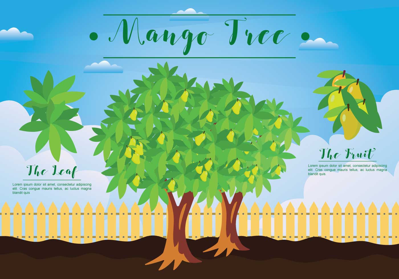 Free Mango Tree Illustration 124729 Vector Art at Vecteezy Free Mango Tree Illustration 124729 Vector Art at Vecteezy