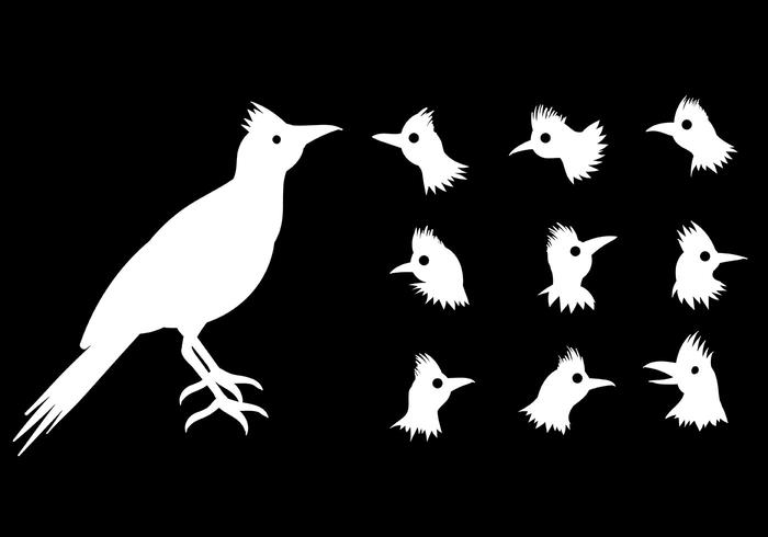 Free Roadrunner Icons Vector Free Roadrunner Icons Vector