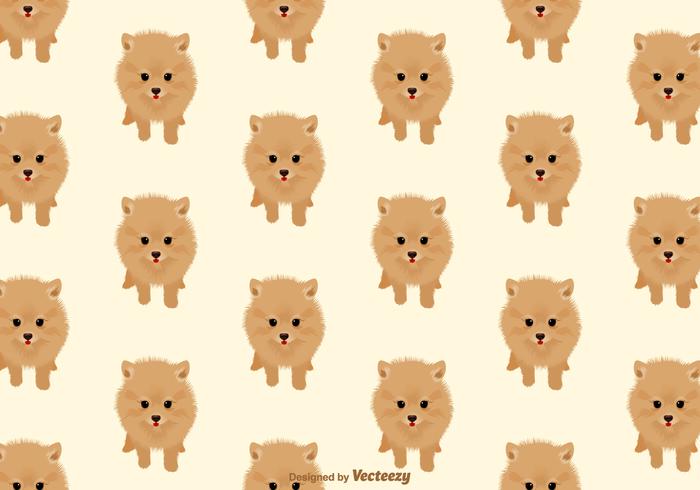 Pomeranian Dog Vector Pattern