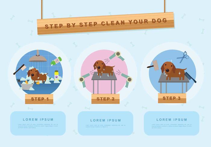 Dog Wash Illustration vector