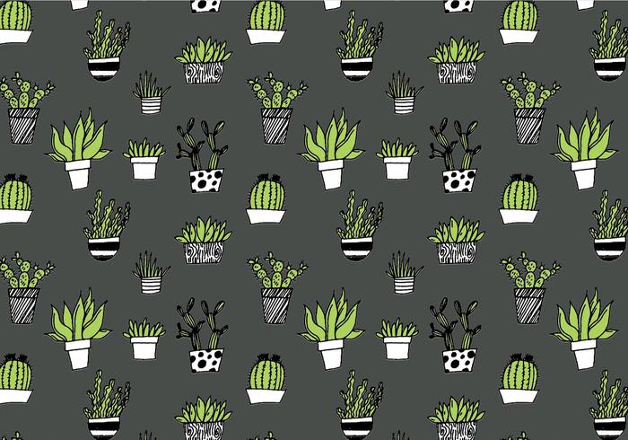 Succulent Repeating Pattern vector