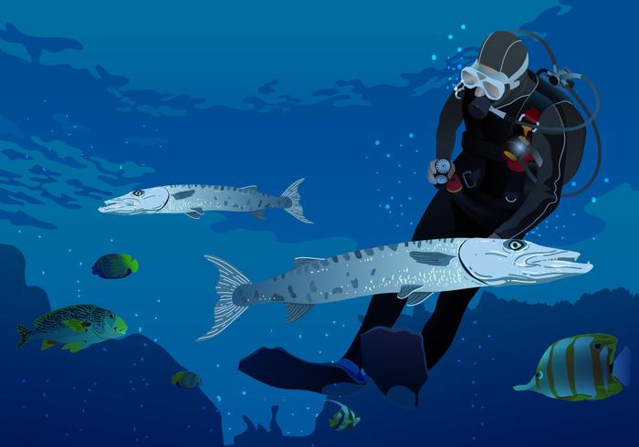 Swimming With Barracuda Vector