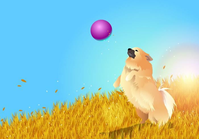 Pomeranian Playing vector