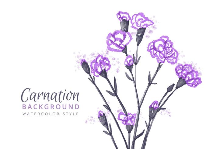 Free Carnation Flowers Background vector