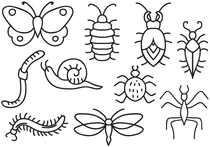 Free Insects Vectors Free Insects Vectors