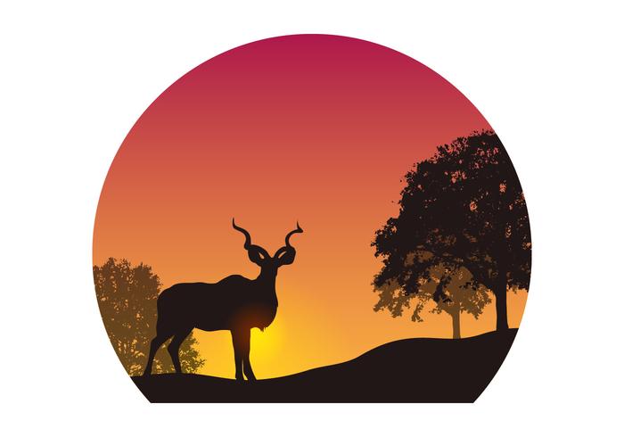 Vector De La Silueta De Kudu