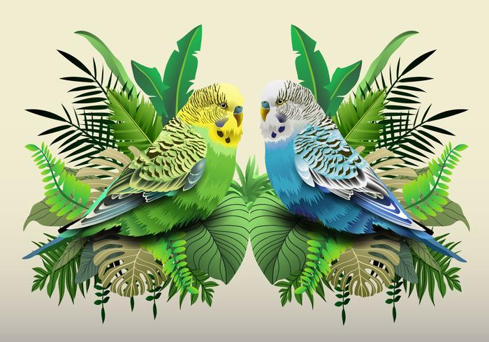 Budgie verde y azul en hojas vector