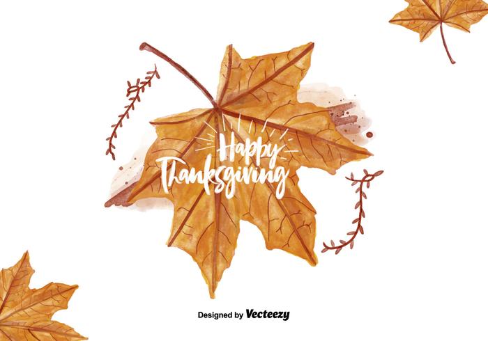 Thanksgiving Leaf Watercolor Illustration vector