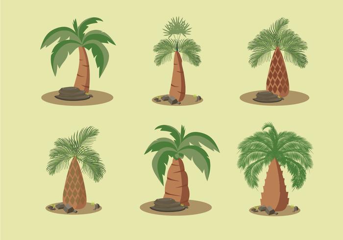 Palm oil trees vector illustration