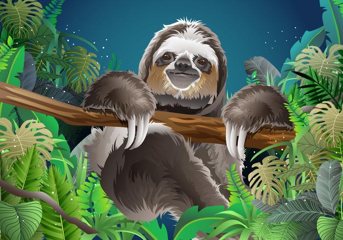 Relaxing Sloth Vector