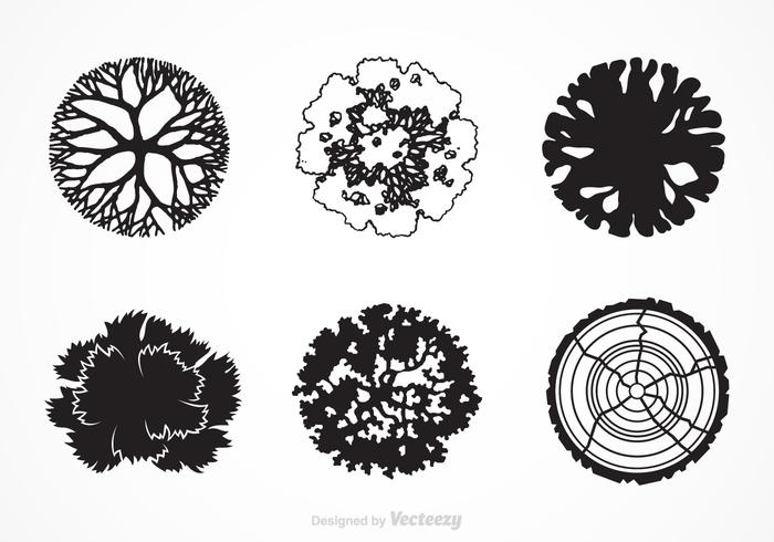 Tree Silhouette Top View Vector Art Icons and Graphics for Free Download