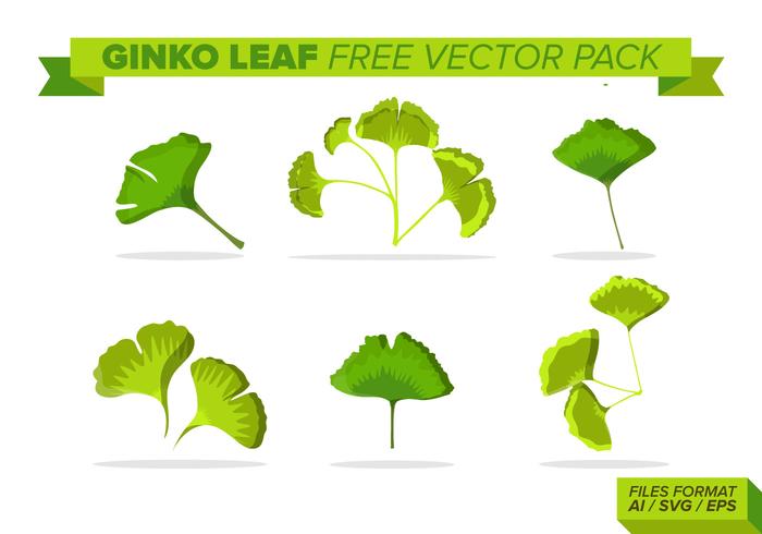 Ginko Leaf Free Vector Pack Ginko Leaf Free Vector Pack