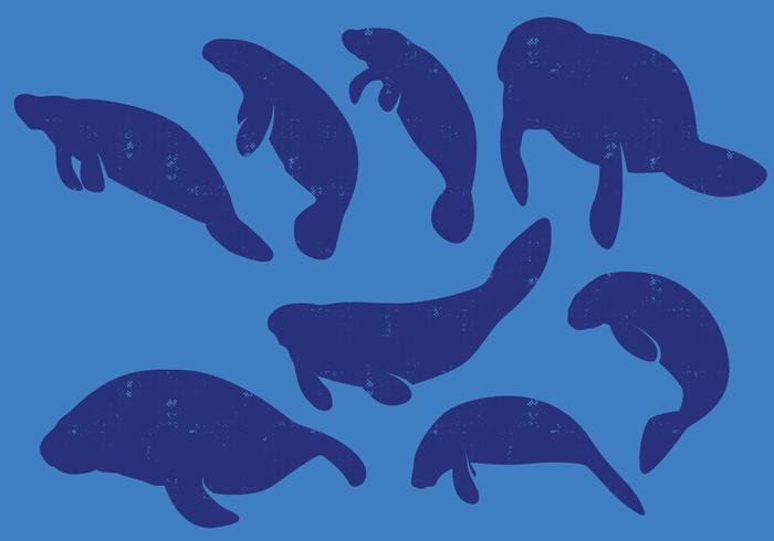 Manatee silhouettes vector