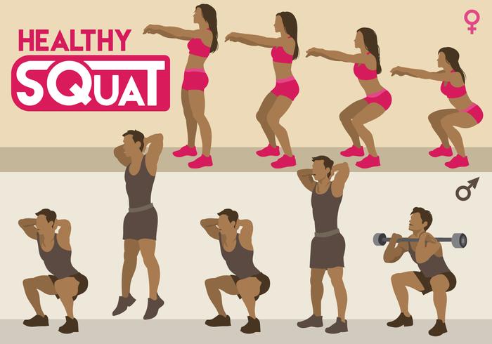 Saludable Squat vectores