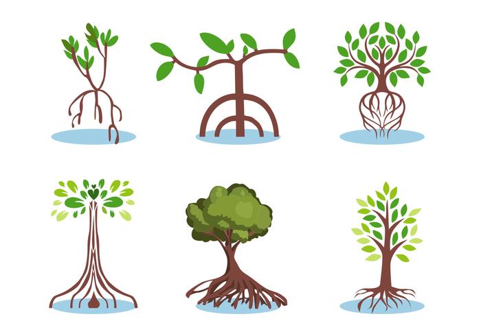 Mangrove Vector Set