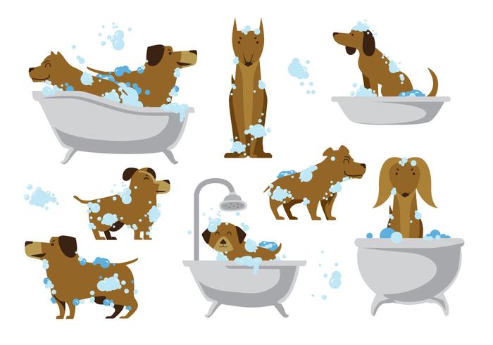 free clipart dog grooming - photo #49