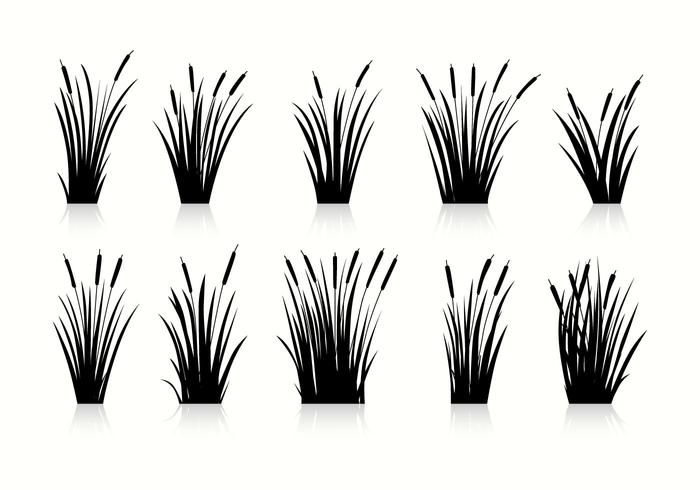 Cattails Silueta Vectores Gratis