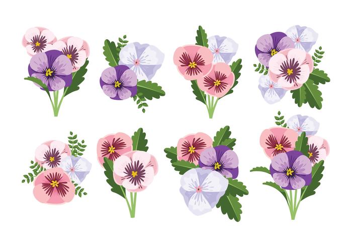 Vector Pansy Flor Libre