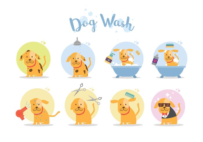 Dog Wash Vector