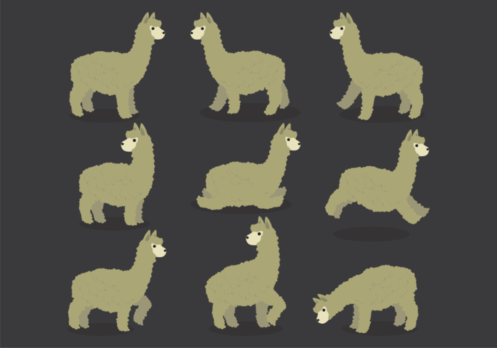 Vectores de la historieta de la alpaca