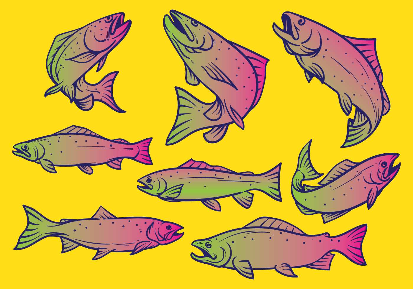 Download Trout Fish Vector Illustration - Download Free Vectors, Clipart Graphics & Vector Art