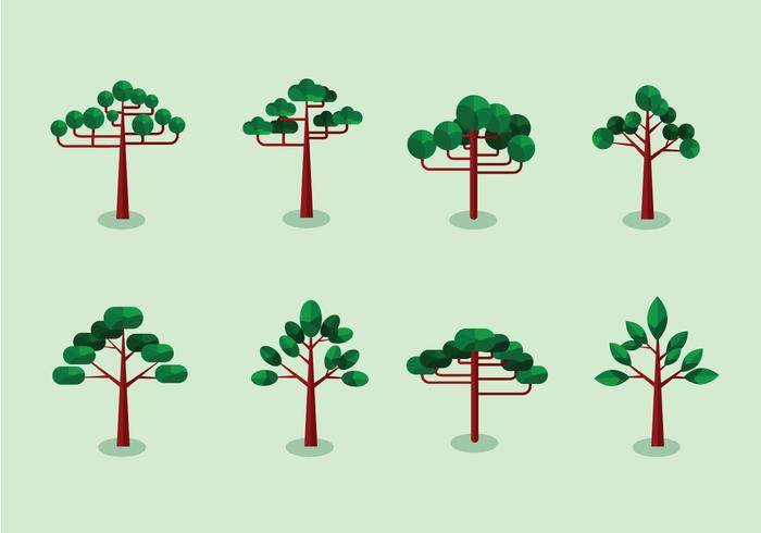 Araucaria trees flat design vector