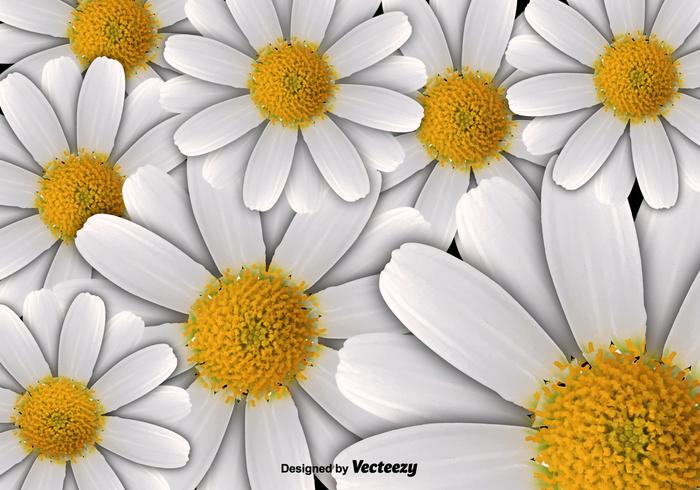 Vector Floral Background