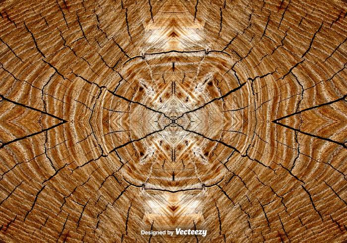 Realistic Tree Rings Background vector
