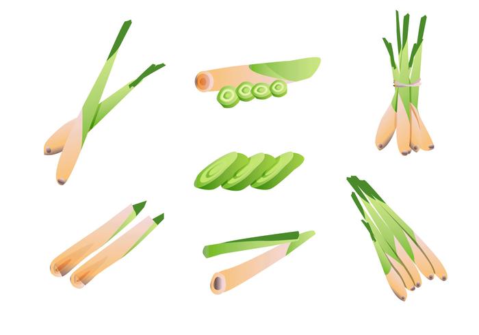 Lemongrass Vector Pack Lemongrass Vector Pack