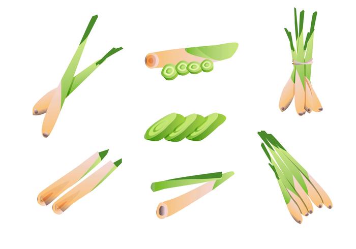 Lemongrass Vector Pack