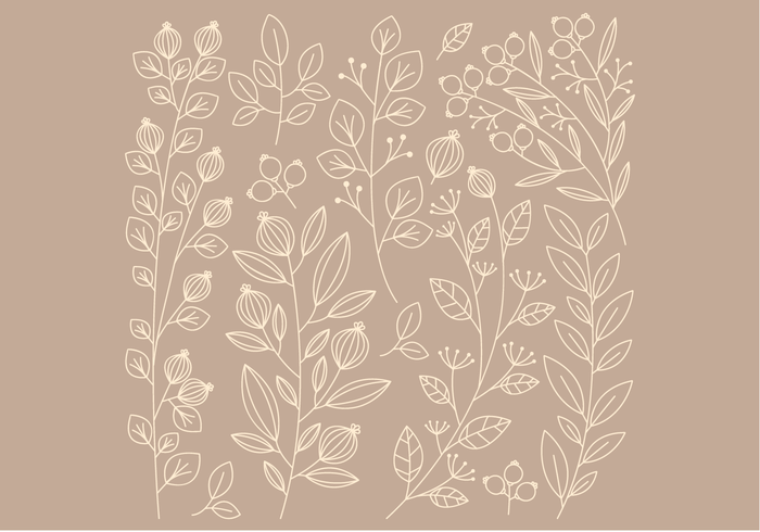 Vector Linear Floral Elements